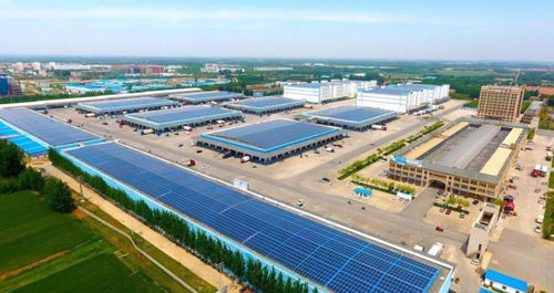 东平大爆发 物流产业园引领转型，五年打造国内重要物流枢纽城市